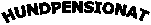HUNDPENSIONAT